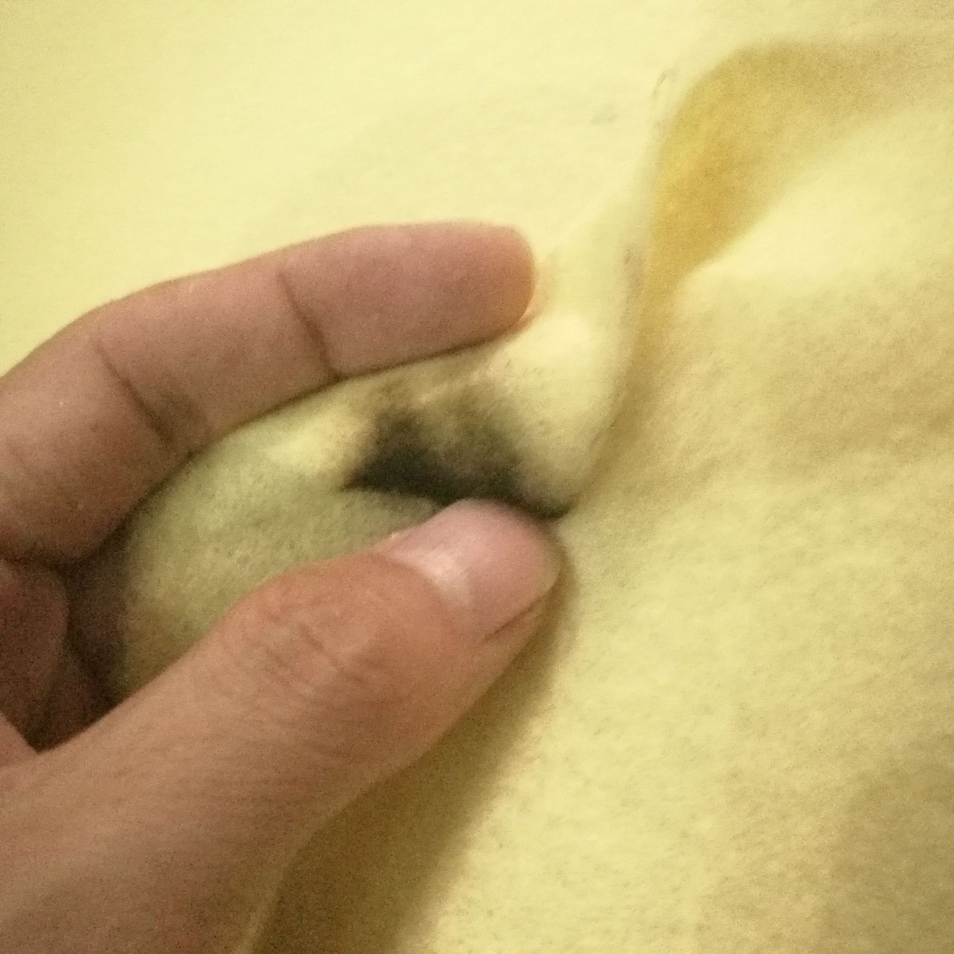 ���]�o�����m�÷���